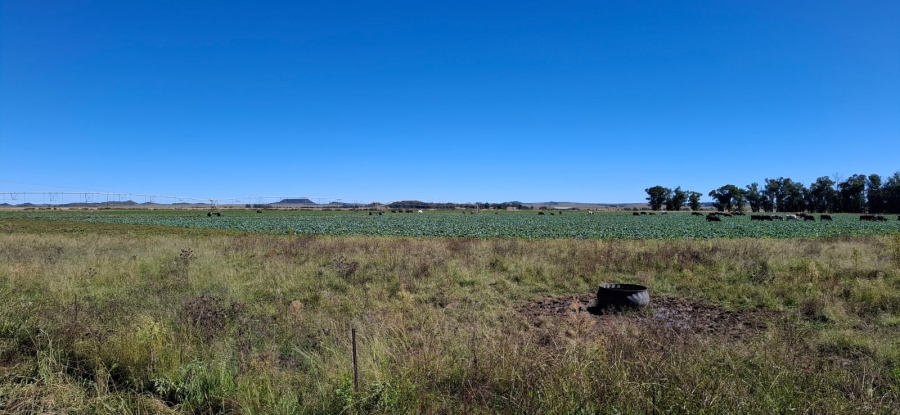 3 Bedroom Property for Sale in Bloemfontein Rural Free State